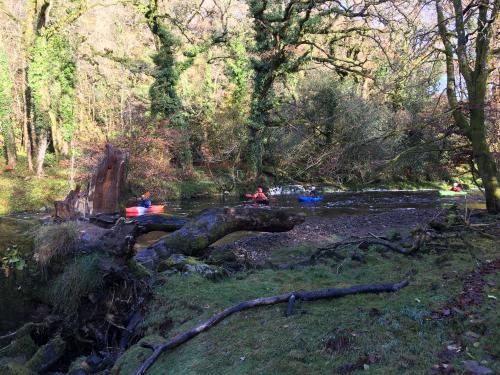 Canoeing on the River Tavy