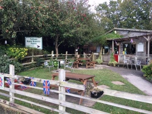 South Devon Railway - Steam Railway Journey between Buckfastleigh and Totnes 