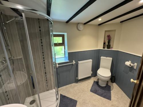 Downstairs Shower Room