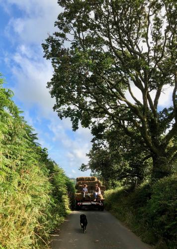 Heading for home with the harvest