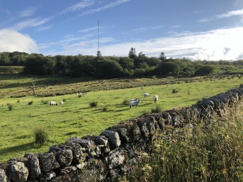 North Hessary Tor and radio mast at Princetown