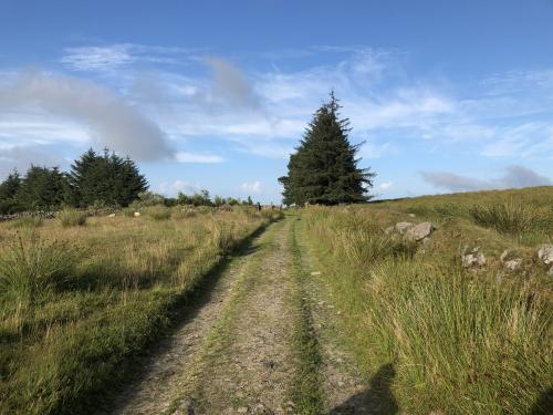Miles of open moorland on Dartmoor