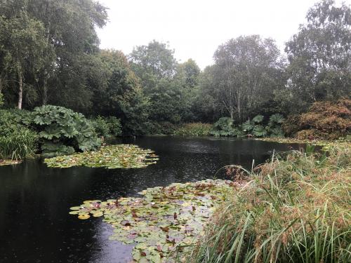 One months rain in just 24 hours but we still enjoyed a great day out at RHS Rosemoor