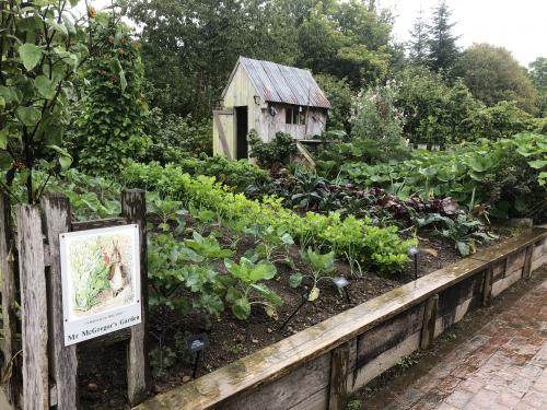 One months rain in just 24 hours but we still enjoyed a great day out at RHS Rosemoor