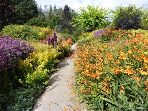 RHS Garden Rosemoor 