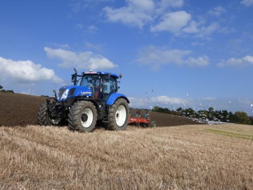 Following the plough near Barnstaple