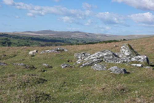 Rugged moorland near Tavistock