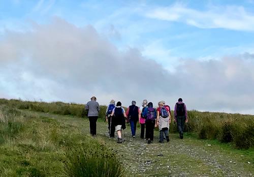 An evening stroll on Dartmoor