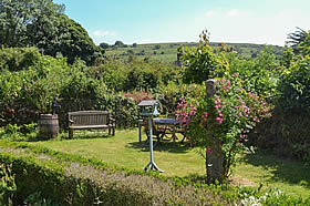 Availability and Prices