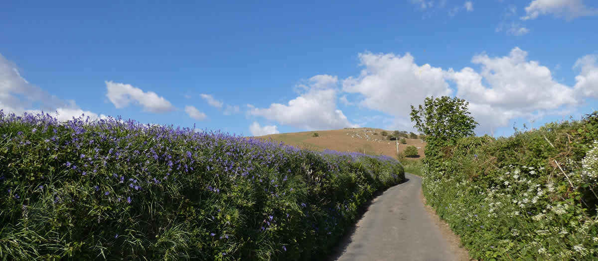 Moorview Cottage is surrounded by miles of lovely moorland walks