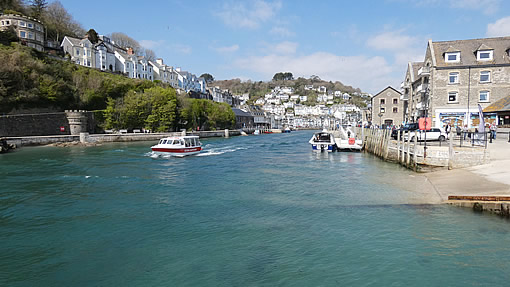 Sightseeing trips from  Looe harbour