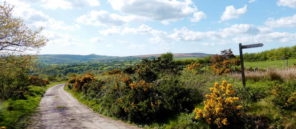 Views over Dartmoor towards Brentor