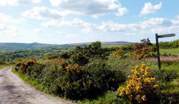 Moorview Cottage is located on the edge of the Dartmoor National Park